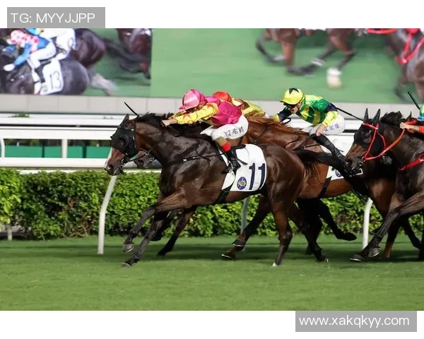 《探索体育赛事背后的竞技精神与团队合作如何成就胜利》