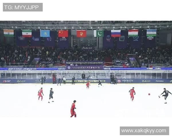 足球激情再燃：2024年世界杯赛程分析与各国队伍备战动态